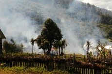 Dipicu Perzinaan, Ratusan Rumah Adat Honai Dibakar di Papua