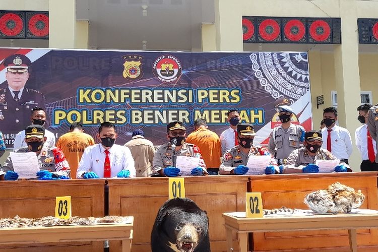 Suasana konferensi pers terkait tindak pidana kejahatan terhadap hewan yang dilindungi di Mapolres Bener Meriah, Aceh, Senin (25/4/2022).