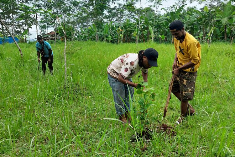 Mahasiswa asal Papua menanam bibit pohon di wilayah Kecamatan Sidorejo.