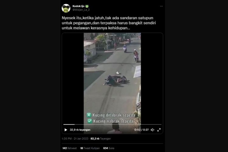 Kecelakaan antara pengendara motor dengan kucing yang menabraknya setelah menyeberang jalan sambil berlari beredar di Twitter.