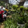 Festival Flora dan Fauna 2022 Jakarta, Liburan Sambil Lihat Tanaman
