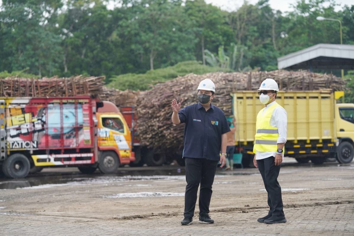 Menteri BUMN Erick Thohir meninjau PT Industri Gula Glenmore (IGG) yang dikelola PT Perkebunan Nusantara (PTPN) XII di lahan seluas 102,4 hektar yang terletak di Desa Karang Harjo, Kecamatan Glenmore, Kabupaten Banyuwangi.