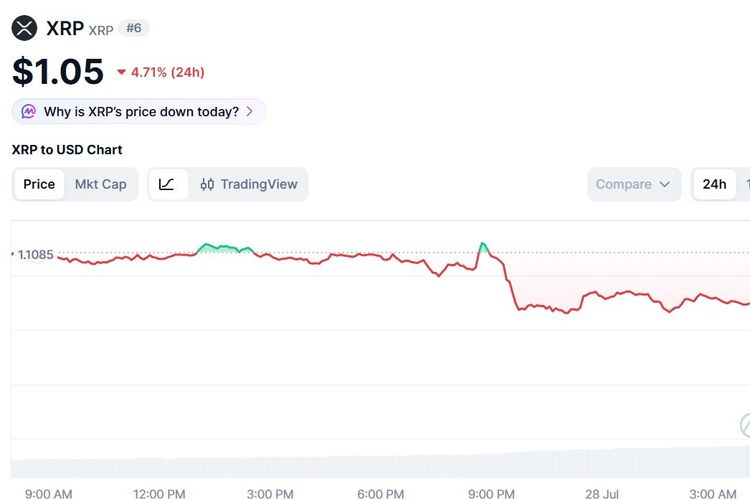 Harga XRP Hari Ini 28 Juli 2026 Anjlok Karena Tekanan Jual Naik
