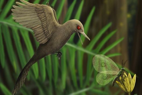 Dinosaurus Terkecil Terkurung dalam Fosil Damar, Inikah Wujudnya?