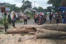 Pohon Tumbang di Kediri Timpa Pengendara Motor, Ibu dan Anak Alami Luka-luka