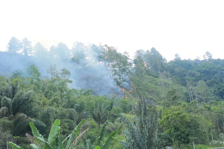 Foto: Kebakaran perbukitan di kawasan hutan lindung DTA Danau Toba di Kecamatan Haranggaol Horisan, Kabupaten Simalungun, Kamis 3 Agustus 2023.