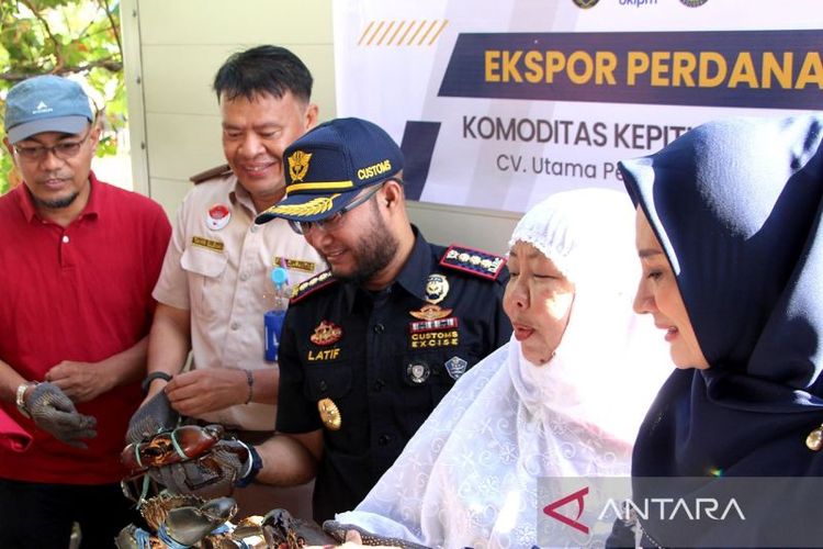 UMKM asal Gorontalo ekspor perdana kepiting bakau hidup ke Singapura.