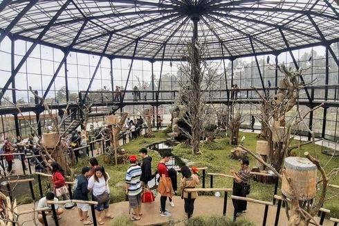 7 Hotel Dekat Lembang Park & Zoo buat Liburan Tahun Baru 2024