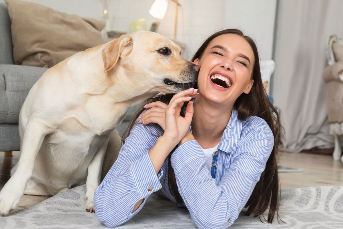 Bokep Cewe Sama Anjing - Mengapa Anjing Hobi Menjilati Pemiliknya?