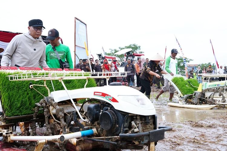 Panen Raya di Trimurjo, Lampung Siap Jadi Garda Terdepan Ketahanan Pangan Nasional