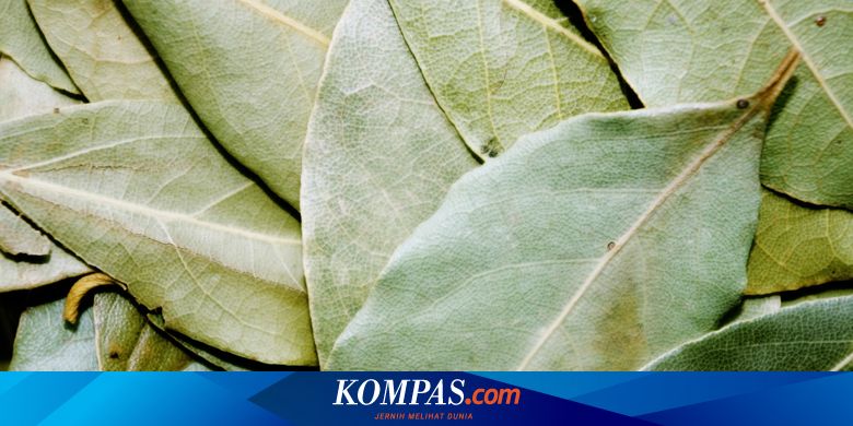 3 Manfaat Daun Salam untuk Kesehatan