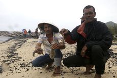 Tongkang Terseret Gelombang, 70.000 Ton Batu Bara Tumpah ke Laut