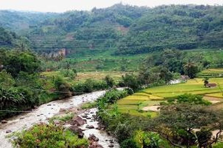 Sepotong Pemandangan di Ciwidey.