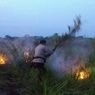 Kondisi di Muaro Jambi, Kebakaran Lahan Gambut Mulai Terjadi Jelang Musim Panas