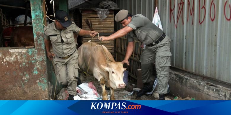 Tukang Jagal Sesalkan Pembongkaran Rumah Jagal Tanah Abang