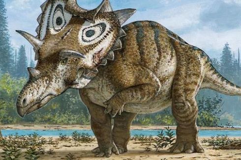 Pemburu Fosil Amatir Temukan Spesies Baru Dinosaurus