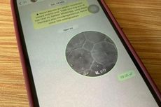 Cara Kirim Pesan Video WhatsApp di iPhone dengan Mudah