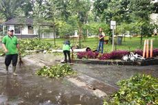 Antisipasi Cuaca Ekstrem, Ridwan Kamil Minta Seluruh Pohon Didata