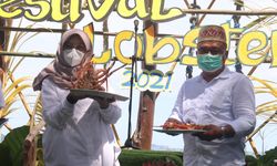 Gelar Festival Lobster di Banyuwangi, KKP Ingin Tingkatkan Produksi Lobster Nasional