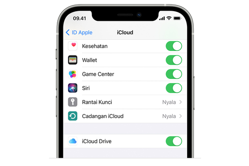 Apakah iPhone Bisa Digunakan Tanpa iCloud? Begini Penjelasannya