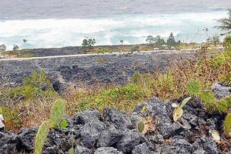 Salah satu daya tarik di Taman Nasional Wakatobi, khususnya di Pulau Binongko, adalah Taman Batu di Tanduna. Lokasi ini dikeramatkan oleh warga dan diusulkan menjadi kawasan perlindungan. Keunikan Taman Batu ini berupa batu karang berwarna hitam berukuran sangat besar serta di atas bukit terdapat tembok benteng dari karang, seperti tampak di gambar yang diambil pada Jumat (17/1/2014).