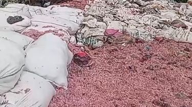 Ketika Cacahan Uang Rp 50.000 dan Rp 100.000 Terbuang Bersama Sampah Liar di Bekasi