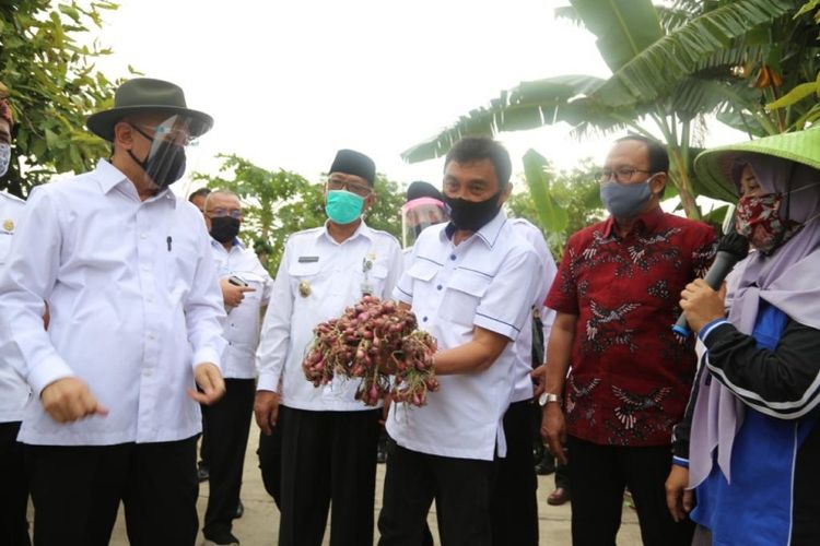 Menteri Koperasi dan Usaha Kecil Menengah (Menkop UKM) Teten Masduki kunjungi petani bawang merah di Demak, Jawa Tengah, Jumat (3/7/2020) (Dok. LPDB-KUMKM)