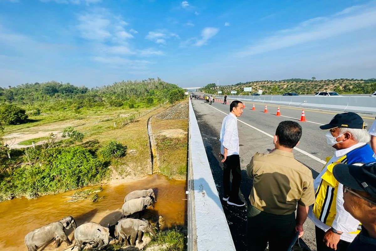 Perlintasan gajah di KM 12 ruas tol Pekanbaru-Dumai