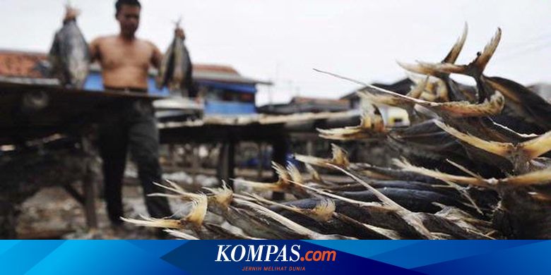 Gaji Penyuluh Perikanan Swadaya / Gaji Penyuluh Perikanan ...