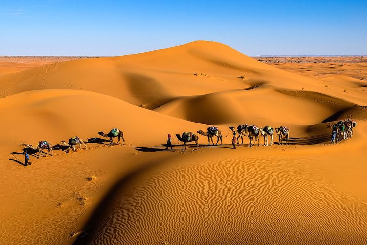 Ilustrasi padang pasir Gurun Sahara yang tandus, gersang dan panas.