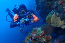 Mau Diving Saat Era New Normal? Simak 15 Panduan Umumnya