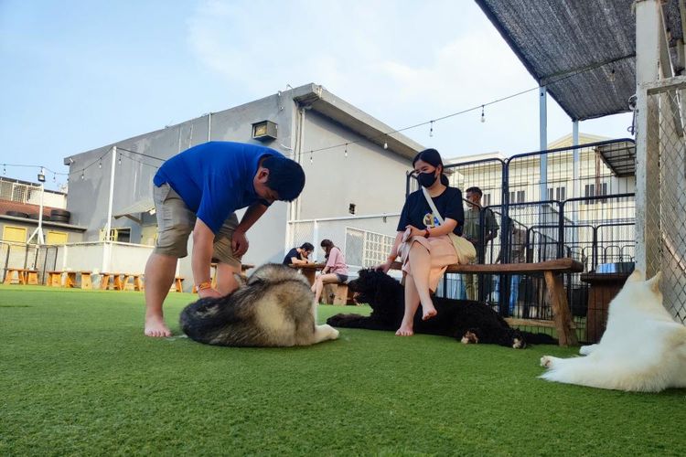 Area outdoor tempat bermail para anabul di kafe Dogs Ministry