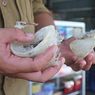 China Beli Produk Sarang Burung Walet Indonesia Senilai Rp 2,2 Triliun