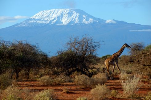 Atap Afrika Gunung Kilimanjaro Kini Dilengkapi Internet Kecepatan Tinggi