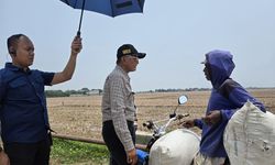 Laporkan Data Sawah Kekeringan Tak Akurat, 4 Pejabat Kemen PU Dicopot Selasa