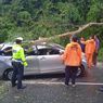 Mobil Avanza Tertimpa Pohon Saat Hujan dan Angin Kencang di Lampung, 5 Orang Terluka