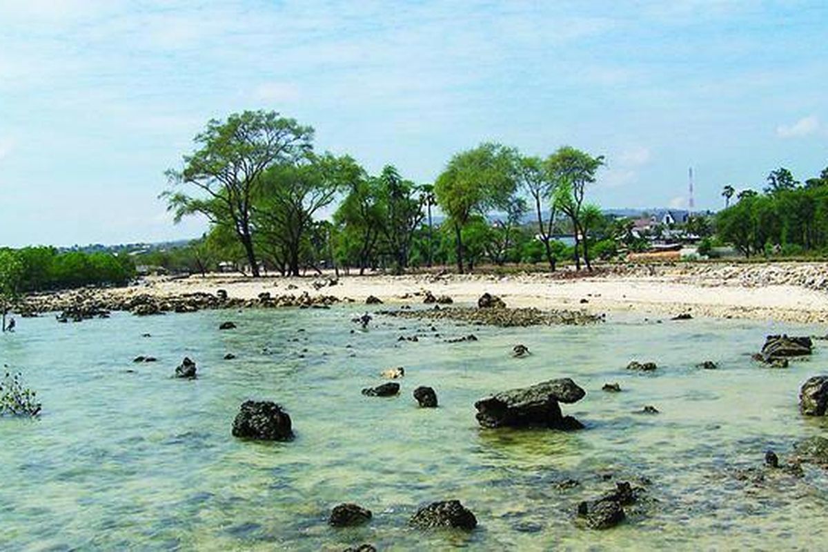 Salah satu lokasi di sebelah selatan Desa Oelaba, Kecamatan Rote Timur, Nusa Tenggara Timur, yang sering dijadikan tempat pemberangkatan imigran gelap pada malam hari.