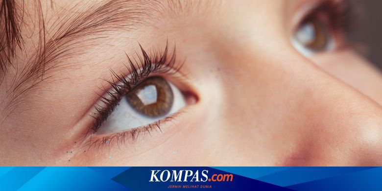 How Long Does it Take for Eyelashes to Grow Back After Falling Out?