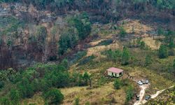 Delineasi IKN Dihantam 309 Karhutla, Satu Perusahaan Disanksi dan Satu Orang Tersangka