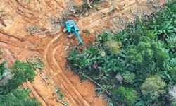 Langkah Maju Konservasi, IUCN Adopsi Resolusi Lawan Kejahatan Lingkungan