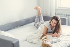 Kasur Angin Vs Sofa Bed, Mana yang Lebih Baik untuk Tamu Menginap?