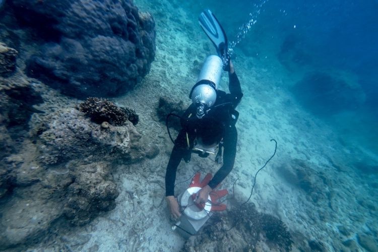 Peringati Hari Bumi 2025, Telkom Gelar Aksi Konservasi Lingkungan Serentak di 4 Lokasi di Indonesia