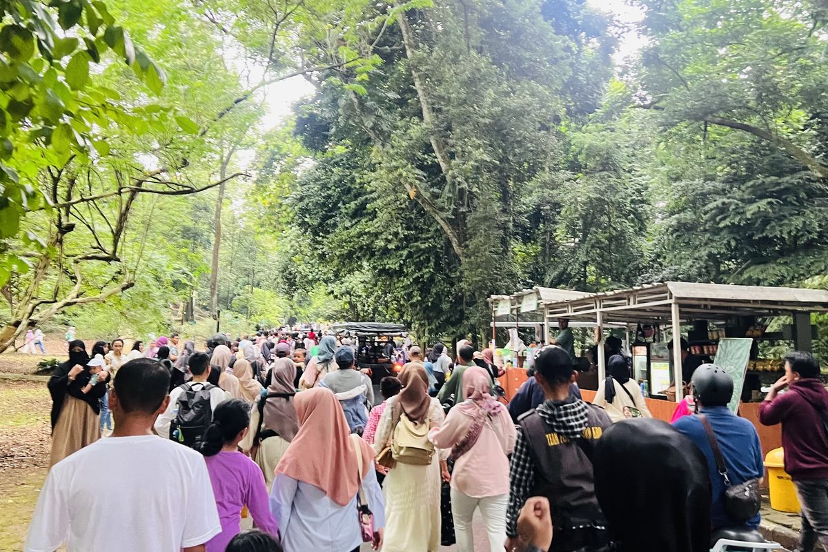 4.000 Pengunjung Padati Kebun Raya Bogor pada Hari Terakhir Cuti Bersama