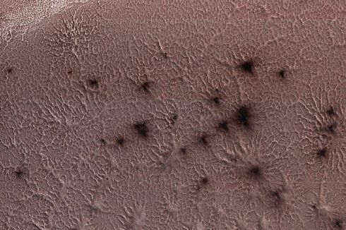 2 Dekade Jadi Misteri, Teka-teki Laba-laba di Mars Terpecahkan