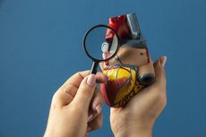 Kenali Fungsi Jantung pada Tubuh Manusia dan Cara Menjaga Kesehatan Jantung Berikut Ini!