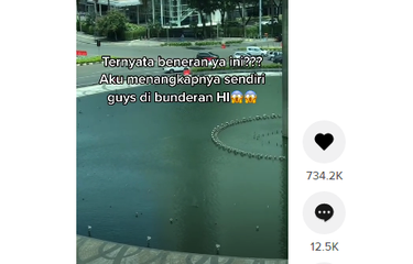 Sebuah video yang menebak mengenai benda bergerak di atas kolam Bundaran HI sebagai ular, buaya atau ikan beredar. Apa Sebenarnya?