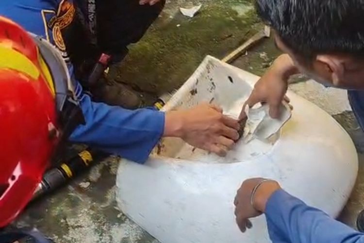 Kucing Tersangkut dalam Wastafel di Bojonggede Bogor Berhasil Diselamatkan Damkar