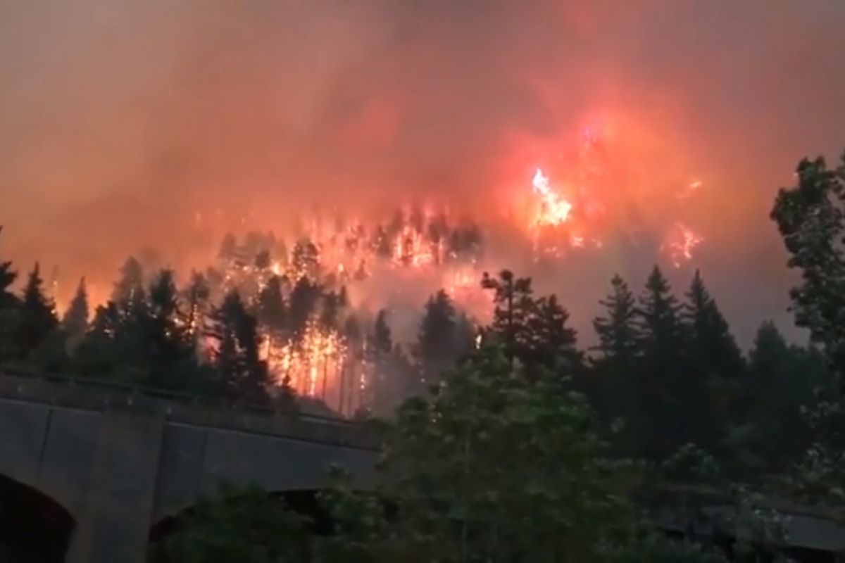Kebakaran hutan yang terjadi di Oregon, September 2017 lalu telah menghanguskan lahan seluas lebih dari 7.000 hektar.