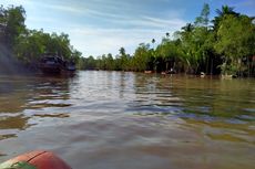 Pemuda yang Hilang Saat Mencari Udang di Habitat Buaya Akhirnya Ditemukan