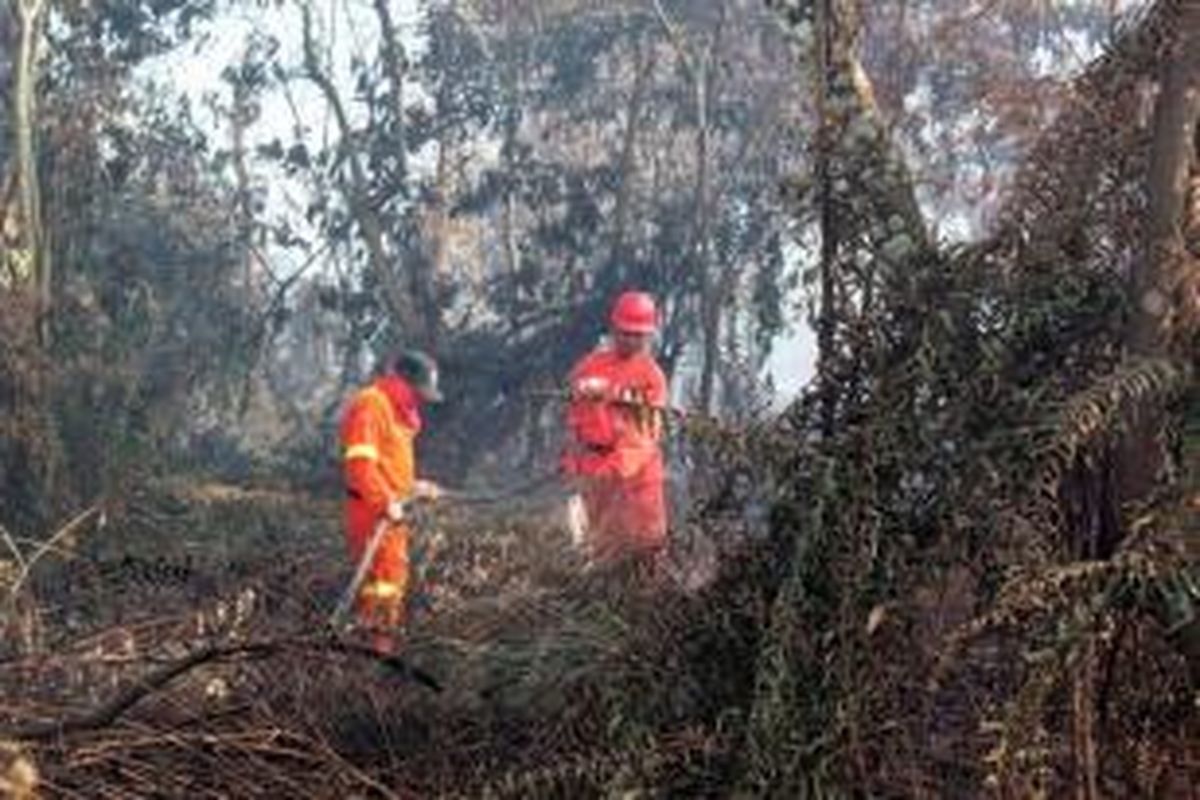 Ilustrasi: Petugas Kementerian Kehutanan memadamkan kebakaran hutan di Pekanbaru, Riau, 320 kilometer dari Singapura, 20 Juni 2013. Kebakaran hutan ini mengakibatkan kabut asap menyelimuti negara tetangga.